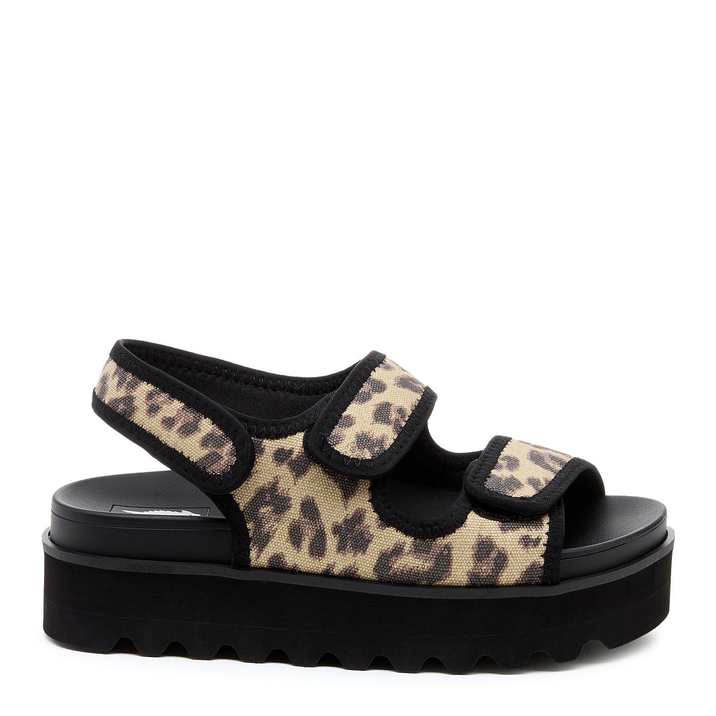 Balmy Black Leopard Sandal